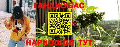 молекула духа Камышлов