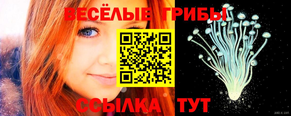 Псилоцибиновые грибы Psilocybe  Вход с VPN  Галлюциногенные грибы мицелий  Домодедово 